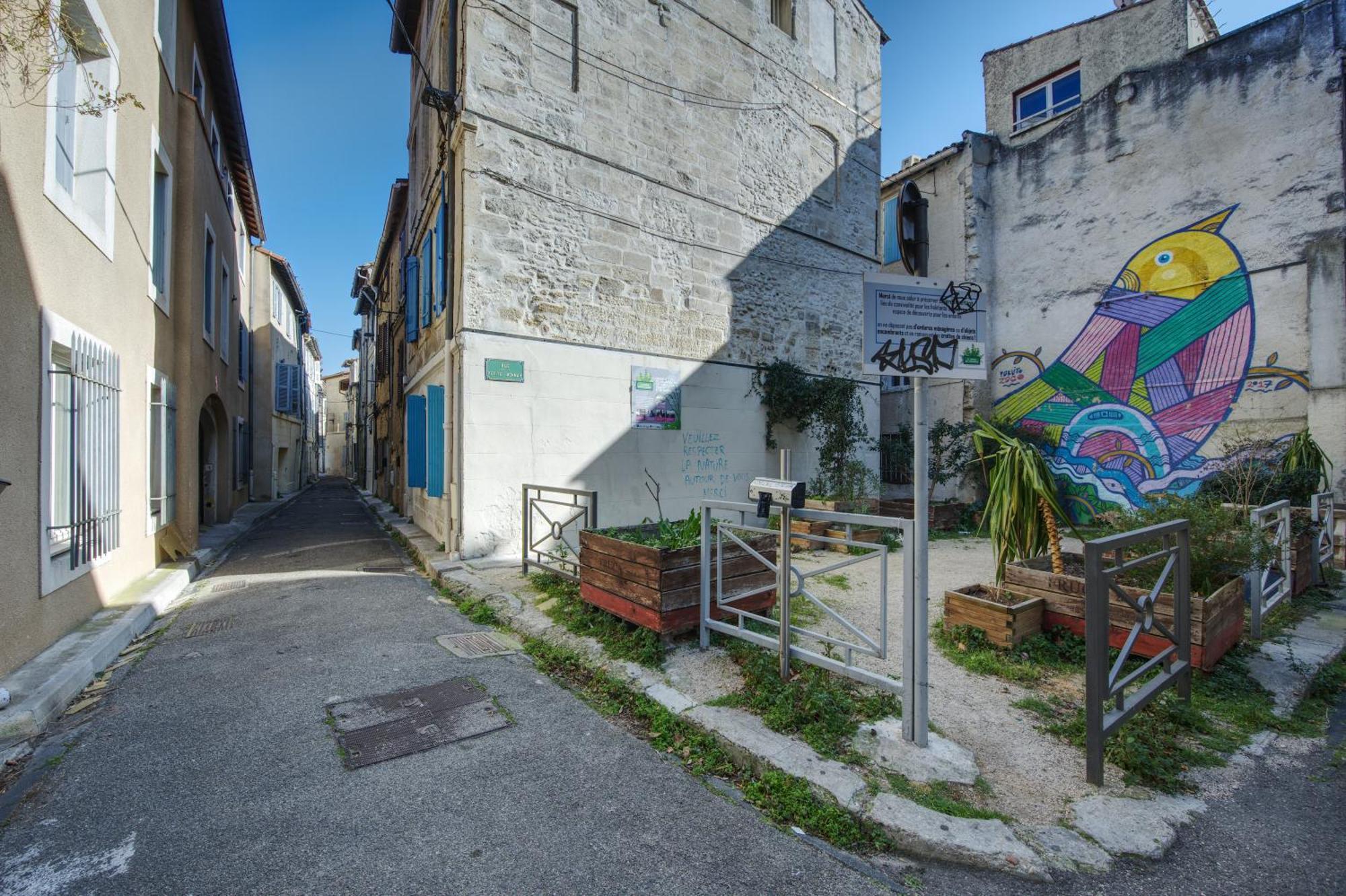 Appartement Cosy Avignon Centre-Ville Zewnętrze zdjęcie
